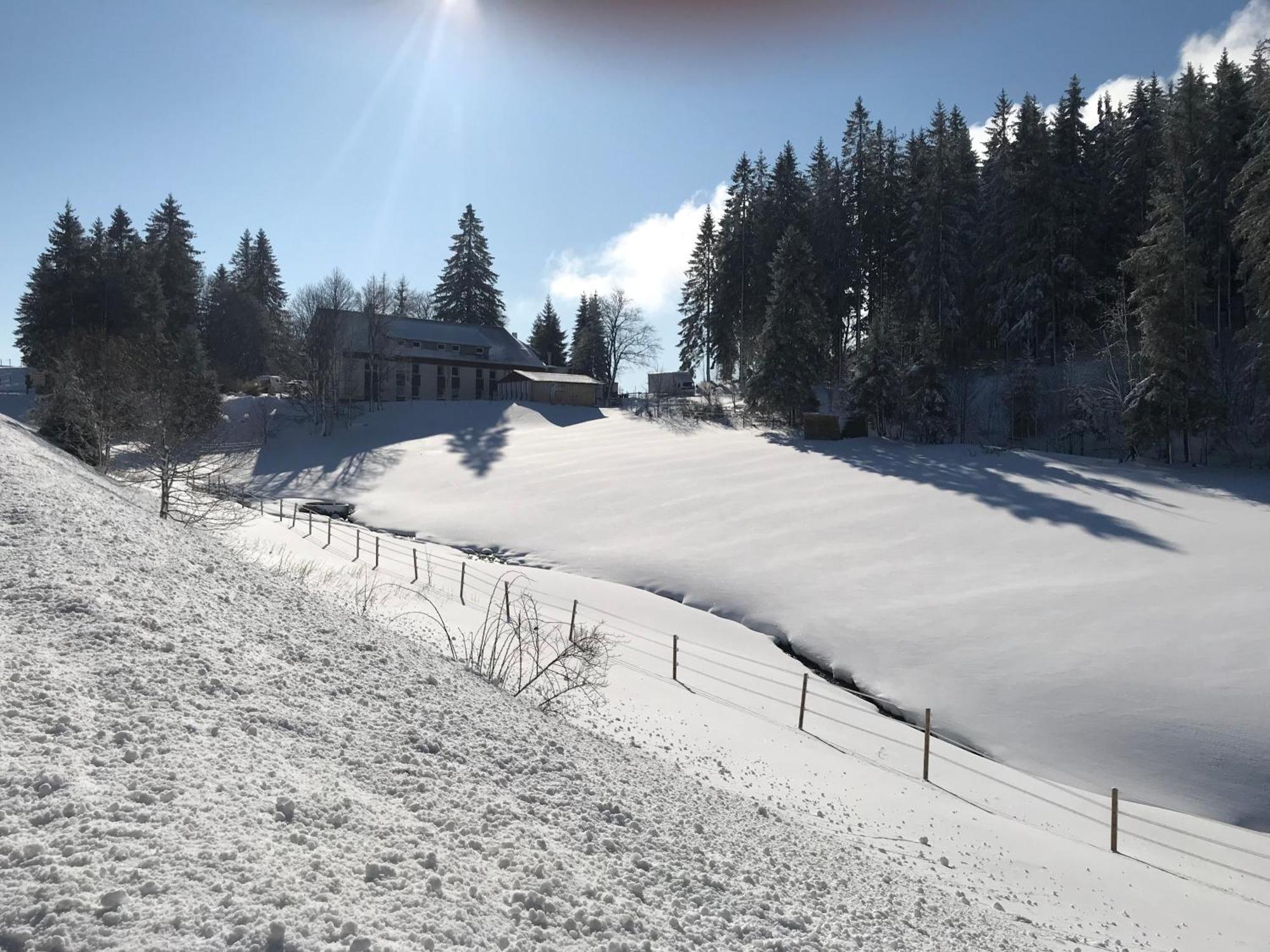 Waldhotel Auerhahn "Hochkopfhaus" Todtnau Exteriör bild