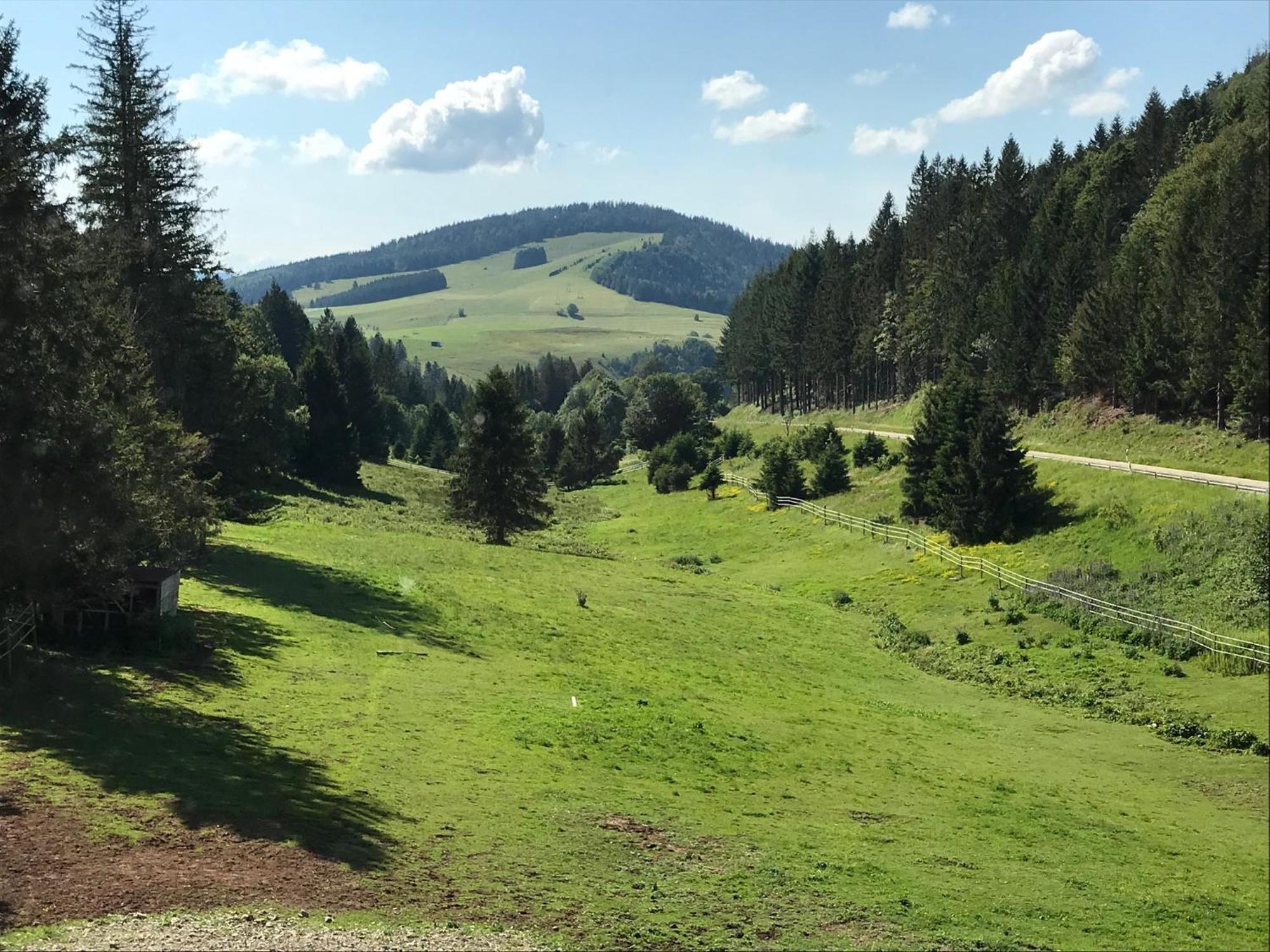 Waldhotel Auerhahn "Hochkopfhaus" Todtnau Exteriör bild